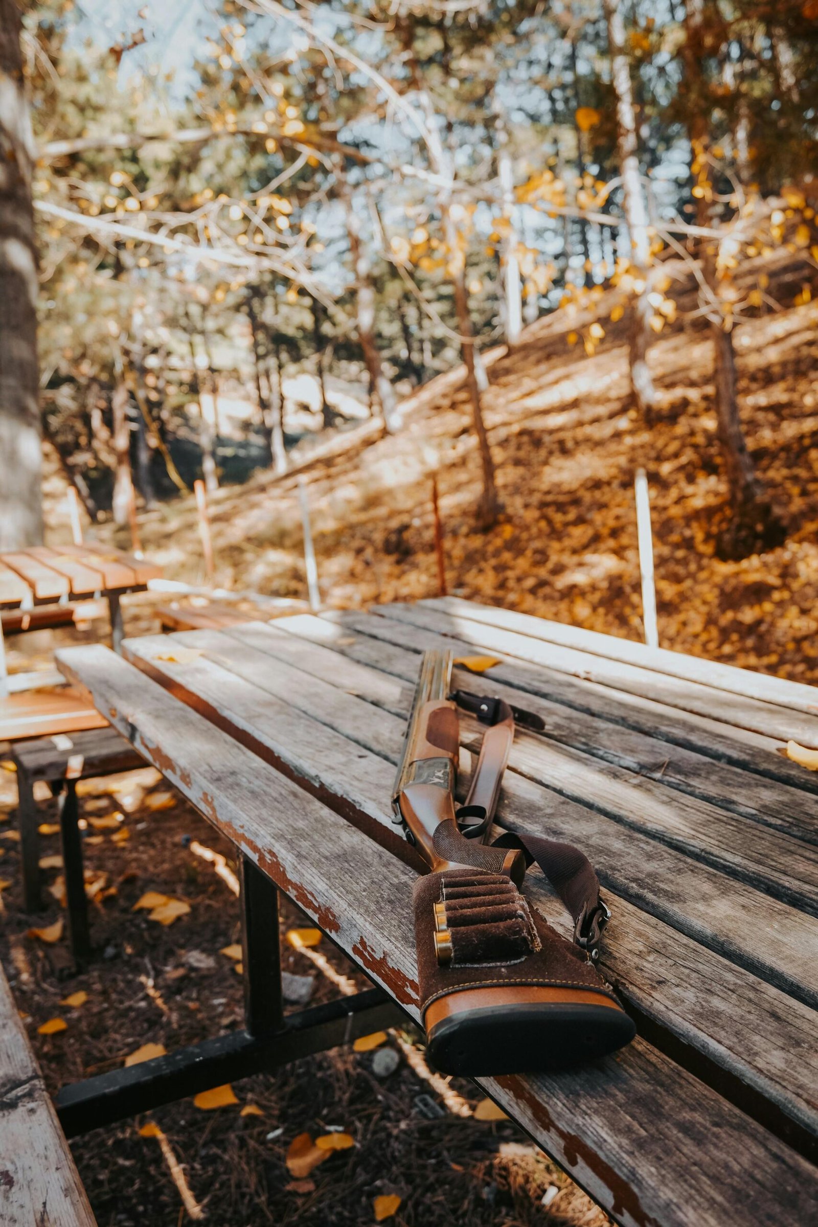 https://remington870.ca/